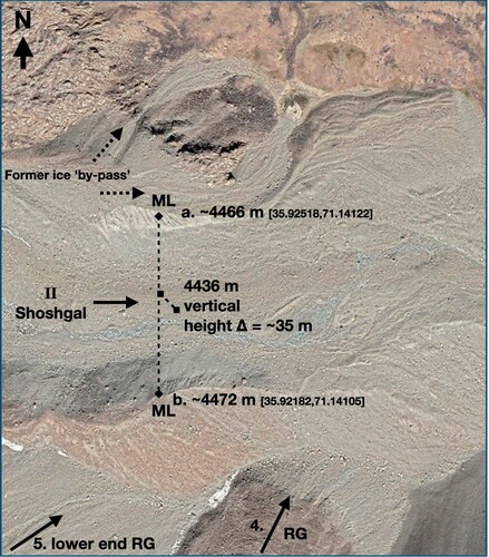Figure 4. Lateral moraines (ML) at locations a. [35.92518,71.14122] and b. [35.92182,71.14105] ∼360 m apart and some 35 m above the debris-covered surface of the Shoshgal glacier (Profile II). This height difference is due to the flow reduction since the moraine emplacement (early LIA?) but has allowed the glacier to become more channelized, increasing the snout extension. ©Google Earth.