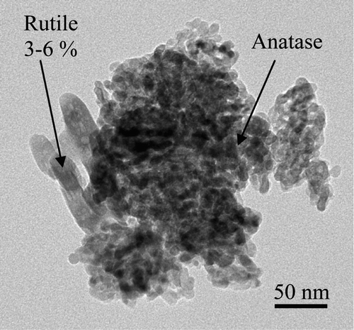 Figure 3. TEM image of the nTiO2 powder.
