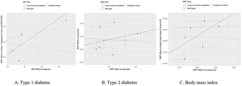 Figure 3 Scatter plots visualizing the Mendelian randomization (MR) estimates of the exposure (lichen sclerosus) with different outcomes ((A): Type 1 diabetes; (B): Type 2 diabetes; (C): Body mass index).