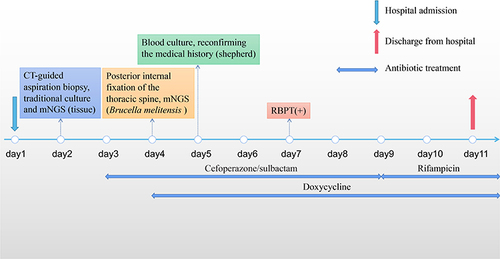 Figure 3 Timeline of the patient’s hospitalization and discharge.