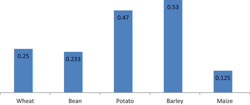 Figure 2. Land allocations for different crops in hectares.