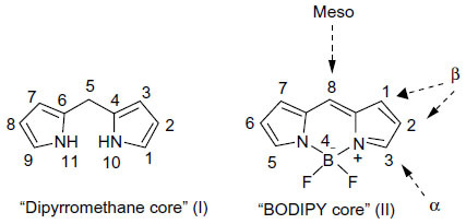 Figure 1 Dipyrromethane and boron-dipyrromethene skeletons and their International Union of Pure and Applied Chemistry numbering figure.