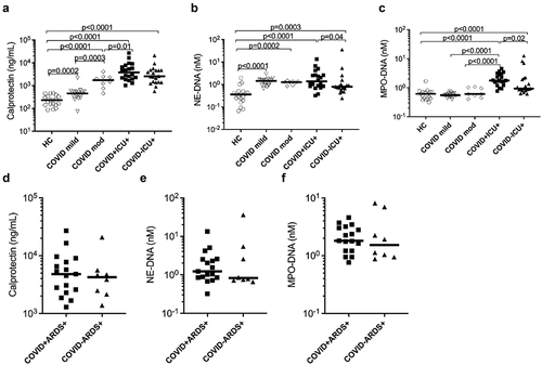 Figure 1. Elevated concentrations of neutrophil activation markers in plasma of COVID-19 patients. Concentrations of neutrophil activation markers (a) calprotectin and (b and c) neutrophil extracellular traps (NETs; measured as neutrophil elastase-DNA complexes, NE-DNA and myeloperoxidase-DNA complexes, MPO-DNA respectively) were measured in stored plasma samples at baseline in COVID-19 patients with disease severity ranging from mild to moderate (mod) to critically ill patients. Comparison of critically ill patients with or without COVID-19 was also performed. (d-f) ICU patients were stratified based on ARDS and assessed for neutrophil activation markers. All assays were analysed by ELISA in plasma samples from COVID-19 patients and healthy controls (HC). Data are represented as dot plot graphs and bars represent the median. Each symbol represents a single subject. Statistics were performed by Mann-Whitney U test.