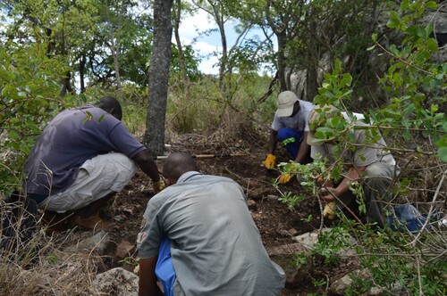 Figure 1. Collaborative excavations at Nyahokwe site.