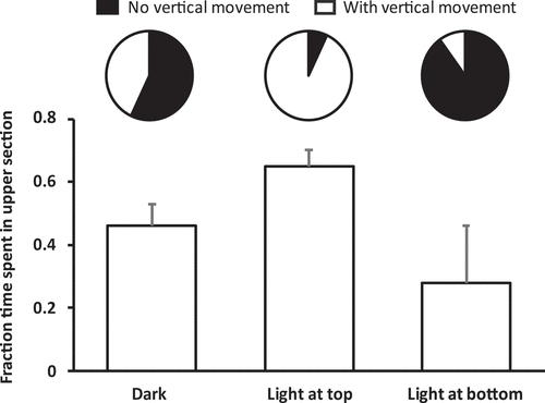 Figure 3. Movement of S. roscoffensis under different light conditions. Pie charts show the proportions of worms with or without vertical movement; n = 30 worms. Bar graph shows, for the ones that moved, the fraction of time spent in the upper section of the water column (mean + s.e.).