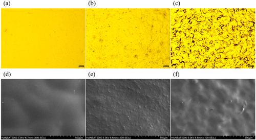 Figure 5. Optical microscope images of (a) HECTA_0, (b) HECTA_0.5, and (c) HECTA_1.0 film and field emission scanning electron microscope images of (d) HECTA_0, € HECTA_0.5, and (f) HECTA_1.0 film.