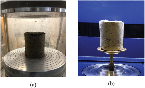 Figure 2. Testing for different soil mixtures. (a) UCS testing and (b) microstructural testing through the X-ray micro-tomography.