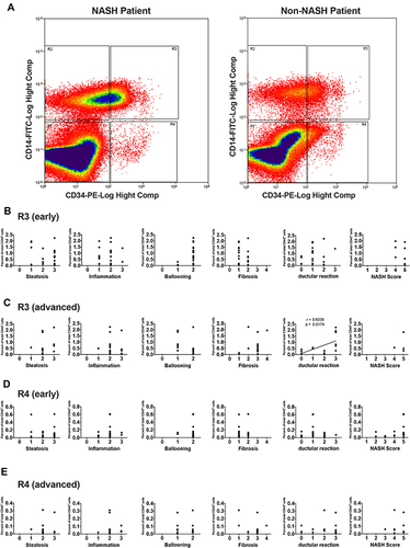 Figure 3 Flow cytometric analysis of peripheral blood mononuclear cells from NASH and non-NASH patients. (A) After CD45 gating, cells were fractionated into R1, R2, R3, and R4 populations depending on their expression of CD14 and CD34. Representative images of cytometric analysis are shown using a sample from NASH patient (left) and that from non-NASH control subject (right). Note a large R3 (CD45+CD14+CD34+) population in the NASH sample. Correlation between R3 (B and C) or R4 (D and E) population and each histopathological feature were examined in early (B and D) and advanced stages (C and E) of NASH patients. A significant correlation between R3 population and ductular reaction is observed in advanced-stage NASH samples (r = 0.6336, P = 0.0179).
