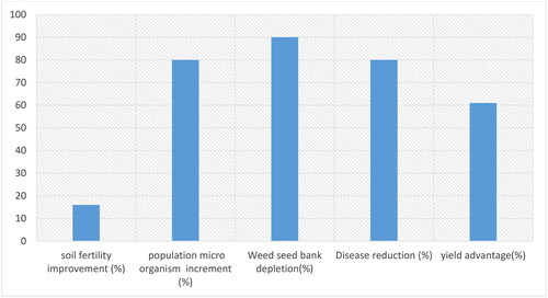 Figure 2. Role of soil solarization on improving the percentage of soil fertility, total population of soil microbiology and crop yields, and reducing diseases and weed seed bank depletion (Abd-Elgawad et al., Citation2019; Dwivedi and Dwivedi, 2020; Meena et al., Citation2019; Safdar et al., Citation2021).