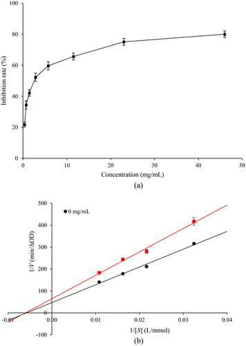 Figure 1. Inhibitory effect of collagen hydrolysate on α-amylase. (a) α-amylase inhibitory activities of collagen hydrolysate. (b) Lineweaver–Burk plot for determining the kinetic constants for α-amylase.