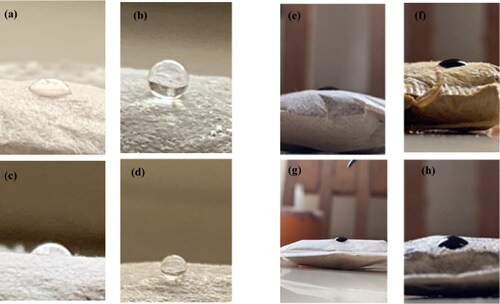 Figure 7. (a–d) Photographic images of the water droplets on the surfaces of the unmodified SF, modified SF, unmodified PF, and unmodified PF sorbent materials respectively, and (e–h) Photographic images of crude oil droplets on the surfaces of the unmodified SF, modified SF, unmodified PF, and unmodified PF sorbent materials respectively.