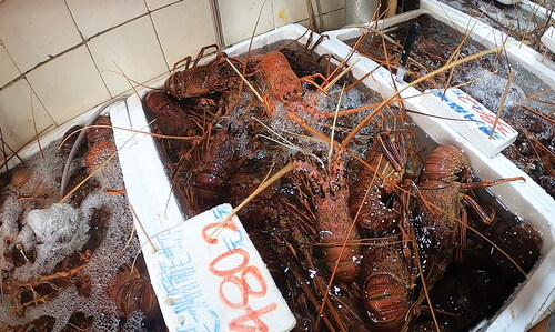 Figure 7. Lobster at Tai Kiu Market, 13 August 2022. Photo by C. T. Y. Tsang.