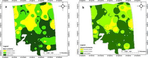 Figure 10. Suitability map for bean (a) and cassava (b).