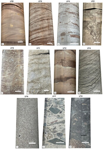 Figure 6. Drill core photographs of various lithofacies. (a) FA3 lower shoreface to pro-delta – LF20 (BLANCHE 1 411 m) interbedded, greenish grey to brown grey, planar to ripple cross-bedded, fine-grained sandstones to siltstone (Tregolana Shale Member); (b) FA4 shoreface to delta-front – LF19 (BLANCHE 1 282 m) planar to cross-bedded, moderately to well sorted, fine- to medium-grained, light to red brown sandstone (Simmons Quartzite Member); (c) FA6 intertidal to supratidal – LF13 (SLT 106 193 m) light grey, massive to cross-bedded, medium-grained sandstone with shale rip-up clasts (Simmons Quartzite Member); (d) FA6–LF21 (SLT 101 566 m) greyish green fine- to very fine-grained sandstone and purple brown siltstone with dewatering structures (Angepena Formation); (e) FA5 shallow subtidal to subtidal – LF10 (GY13 17 m) light grey to purple stromatolite (Brighton Limestone); (f) FA5–LF11 (SAE 22 392 m) light grey, massive dolostone with minor carbonaceous laminae (Brighton Limestone); (g) FA5–LF12 (SLT 102 164 m) interbedded dark purple, laminated siltstone and light brown, to light greyish-green dolomitic siltstone (Nuccaleena Formation); (h) FA5–LF14 (HODD3 469 m) light grey, dolomitic siltstone (microbialaminites) with mm-thick mudstone drapes (Brighton Limestone); (i) FA7 glacial to fluvio-glacial – LF16 (SLT 101 325 m) grey, massive, well-sorted, medium-grained sandstone (Whyalla Sandstone); (j) FA7–LF17 (SCYW-79 1A 1385 m) light grey, matrix supported, diamictic pebbly conglomerate composed of angular to well-rounded clasts ranging in size between 0.2 and >5 cm, clasts dominantly quartzite, shale, granite and carbonaceous rip-up clast (Sturt Formation); and (k) FA7–LF18 (SCYW-79 1A 1393 m) grey diamictite, matrix supported, silty matrix; clasts subangular to well-rounded, dominantly shales, quartz, quartzite, Gawler Range Volcanics; clast size 0.2 > 5 cm.