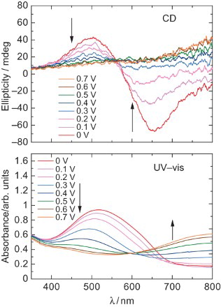 Fig. 4. (Top) CD spectra of the polymer at 0–0.7 V. (Bottom) UV–VIS absorption spectra of poly HMSBT at 0–0.7 V.
