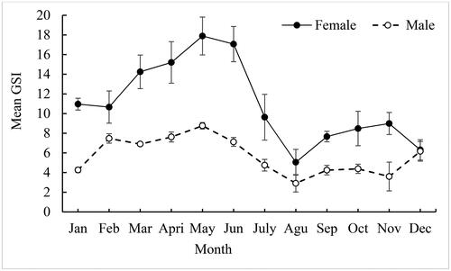 Figure 3. Gonado Somatic Index (GSI) monthly trends for females and males C. carpio var. communis from Lake Arekit from June 2022 to May 2023.