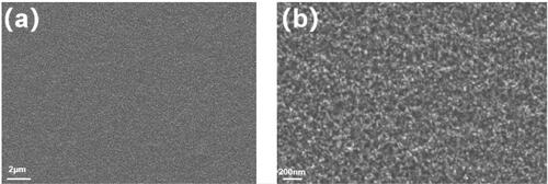 Figure 1. Surface morphology of silicon substrate after seeding (a) 5000 times and (b) 40000 times.