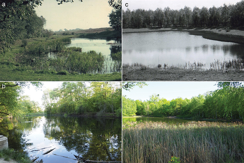 Figure 3. Examples of urban ponds. Żurawiniec: in 1966 (a) and 2020 (b), Edwardowo: in 1964 (c) and 2020 (d). Photo by Z. Pniewski and K. Kolenda.