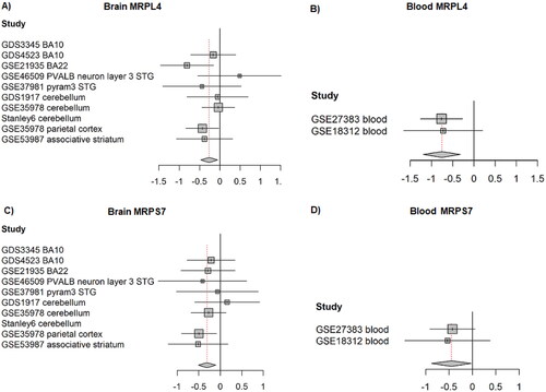 Figure 2. Meta-analysis of MRPL4 and MRPS7 differential expression in ten brain samples and two blood samples of individuals with schizophrenia vs. healthy controls. (A) Brain samples MRPL4 meta-analysis. A forest plot was generated using the function “forest” from the “meta” package in R, version 4.9–2 (General Package for Meta-Analysis) (Schwarzer Citation2007). Each square represents the standardised difference (Hedges’ g [Hedges Citation1981]) between schizophrenia and control for a specific dataset, with the area of the square reflecting the weight (determined by the sample size) given to that dataset in the meta-analysis. Each horizontal line represents the 95% confidence interval for the mean difference in that study. The vertical line shows the point of zero difference. The standardised difference is positive (negative) if the expression is higher (lower) in schizophrenia vs. the control group. The vertical dashed red line points at the centre of the diamond, which represents the overall difference across both studies, and its width represents a 95% confidence interval. (B) Blood samples MRPL4 meta-analysis. (C) Brain samples MRPS7 meta-analysis. (D) Blood samples MRPS7 meta-analysis.