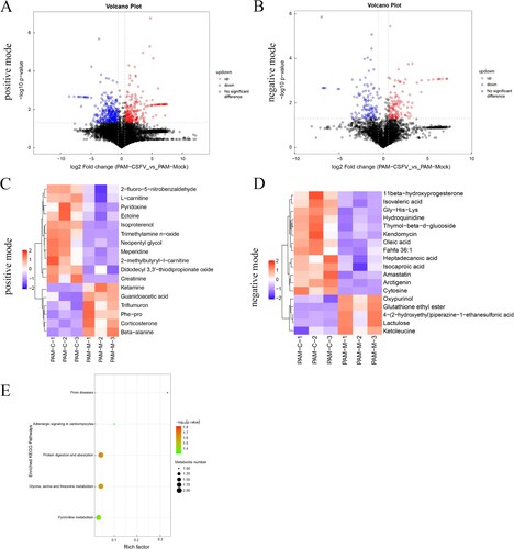 Figure 2. Statistical comparison of metabolites and analysis of differential metabolites and key metabolic pathways. Volcano plot of metabolites in porcine alveolar macrophage in positive mode (a) and negative mode (b). (c) and (d) Heatmap of the top 35 metabolites in porcine alveolar macrophage. Up-regulated and down-regulated metabolites are coloured in red and blue, respectively. (e) Pathway analysis of the key metabolites in porcine alveolar macrophage.
