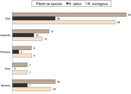 Figure 2. Number of unique pathogens per taxa and rat species. Pathogens combined, regardless of rat species, are also reported.