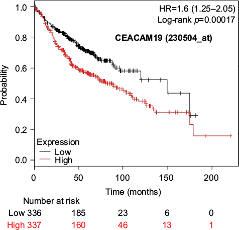 Figure 8 Kaplan–Meier survival curves of the higher and lower expression groups divided by the median value of CEACAM19 (Jetset probe, 230504_at) in patients with adenocarcinoma.