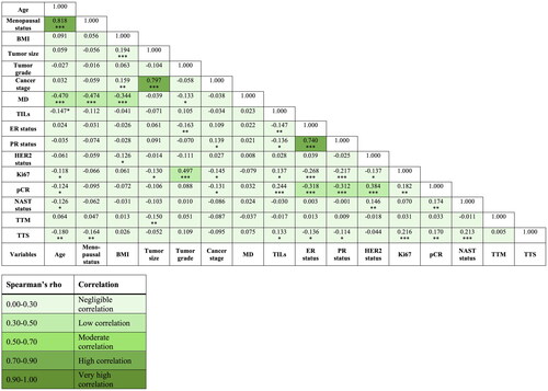 Figure 2. Correlation heatmap with coefficients of clinicopathological variables and significance levels calculated by use of Spearman’s rank correlation test [Citation37].Age, BMI, tumor size, Ki-67, TTM, and TTS are included as continuous variables. Menopausal status is classified as pre- or postmenopausal. Tumor grade is classified as grade I, II, and III. The cancer stage was determined by use of the TNM staging system and comprises stages 1–4. MD refers to BI-RADS categories a–d. TILs are included as a semicontinuous variable. ER, PR, and HER2 status are classified as negative or positive. pCR is classified as no or yes. NAST status was defined as suboptimal or optimal treatment and ‘suboptimal treatment’ was defined as having received <75% of the intended treatment prior to surgery. *p < .05; **p < .01; ***p < .001.Abbreviations: BMI: body mass index; MD: mammographic density; TILs: tumor-infiltrating lymphocytes; ER: estrogen receptor; PR: progesterone receptor; HER2: human epidermal growth factor receptor 2; pCR: pathological complete response; NAST: neoadjuvant systemic therapy; TTM: time to diagnosis from mammography; TTS: time to surgery from diagnosis; BI-RADS: breast imaging reporting and data system.