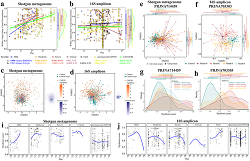 Figure 2. Longitudinal analysis reveals that the gut microbiome in patients with COVID-19 shifts back toward a state more similar to healthy controls over time. Within-subject Bray-Curtis dissimilarity of gut microbiome in COVID-19 individuals from (a) pooled shotgun metagenomes (n = 310 samples from 165 patients) and (b) pooled 16S amplicon samples (n = 594 samples from 387 patients) over time; colored lines (accompanying slope and p-value) represent linear fit to each disease severity: lm(within-subject Bray-Curtis dissimilarities ~ log(Day, 2), the green shaded area represents the 95% confidence interval of pooled COVID samples); colored boxplots on the right represent within-subject Bray-Curtis dissimilarity by disease severity; green violin plot on the right represents Within-subject Bray-Curtis dissimilarity of all COVID samples. Non-metric multidimensional scaling (NMDS) based on species-level Bray-Curtis dissimilarity matrices from (c) pooled shotgun metagenomes (n = 753) and (d) pooled 16S rRNA gene amplicon sequencing samples (n = 1,302) with known sampling day; contour plot was generated using the geom_density_2d function in ggplot2 R package, with contour lines colored by day on a log2 scale (see Extended Data Fig. S7 for plots c and d without contour lines). Gut microbiome tended to shift back toward a state that was more similar to healthy controls over time in two representative cohorts (e) PRJNA714459 (shotgun metagenome) and (f) PRJNA703303 (16S amplicon), see Table S3a for microbiome variations of COVID-19 patients at month 0, month 3, month 6, and month 9 to healthy controls (Bray-Curtis dissimilarity, permutations = 999); colored boxplots on the top and on the right represent Bray-Curtis dissimilarity over time in the first and second ordinations respectively. The prevalence of gut microbiome dysbiosis decreases over time from month 0 to month 6 in two representative cohorts (g) PRJNA714459 and (h) PRJNA703303; colored boxplots on the top represent dysbiosis score over time. Temporal shifts in dysbiosis score (median Bray-Curtis dissimilarity of a COVID sample to every healthy control, Methods) of the gut microbiome of COVID-19 patients based on (i) pooled shotgun metagenomes and (j) pooled 16S amplicon samples; blue lines represent loess fit to each disease severity.