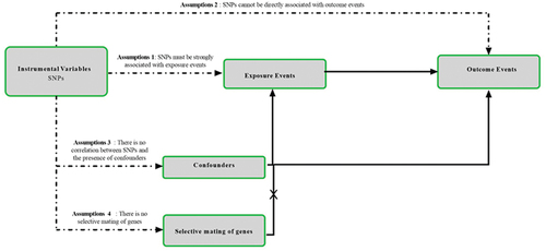 Figure 1. Research flow chart. MR test needs to meet four assumptions at the same. time. First, SNPs must be strongly correlated with exposure. Second, SNPs cannot be directly related to outcome. Third, SNPs cannot be associated with any possible confusing factors. Last, no genetic assortative mating.