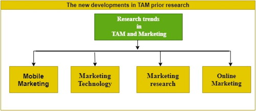 Figure 11. The new developments in TAM prior research.