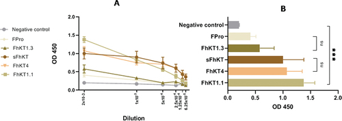 Figure 3. Anti-IgG antibody response in F. hepatica-infected sheep six weeks after experimental infection (6wpi) to sFhkt, FhKT1.1, FhKT1.3 and FhKT4. (a) mean of OD values for total IgG antibodies to sFhkt and rFhKts (n = 6); mean ± SEM represented at 6 serial sera dilution 2 × 10−3; 1 × 10−3; 5 × 10−4 ; 2.5 × 10−4 ; 1.25 × 10−4 ; 6.25 × 10−5. (b) comparisons of means of OD for the 2 × 10−3 dilution obtained for sFhkt and the recombinants (rFhKt1.1, rFhKt1.3, rFhKt4) *** indicate statistical differences p < 0.001.