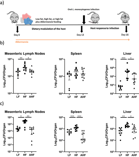 Figure 1. High-fat diet increased susceptibility to oral and systemic Listeria monocytogenes infection, but this increase was absent in mice treated with A. muciniphila.
