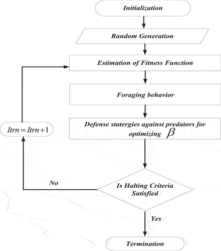 Figure 2. JSOA for optimizing parameters from DtwinWGAN classifier.