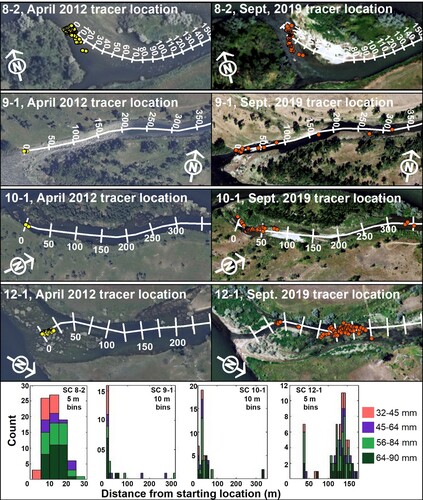 Figure 11. (Left panels) Tracer positions in April 2012 following a 200 cm flow release from Yellowtail Dam. Tracers were originally seeded in February 2012. The backdrop is 2011 imagery. (Right Panels) Tracer positions shown in 2019 on 2017 imagery. Flow is from left to right in all images. Histograms of cumulative tracer displacement in 2019 are shown below and the stacked bars indicate gravel size.