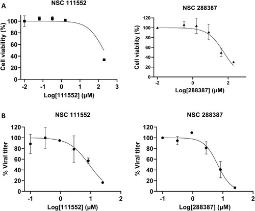 Figure 4. Analysis of Cytotoxicity and antiviral activity of compounds NSC 111552 and 288387. (A) Cytotoxicity of NSC 111552 (left panel) and 288387 (right panel). Vero cells were treated with various concentrations of NSC 111552 and 288387, followed by cell viability assay at 42 h post-incubation. N = 3. (B) Inhibition of SARS-CoV-2 replication by NSC 111552 (left panel) and 288387 (right panel). Vero cells were seeded in 96 well plated. After 24 h, media was replaced with fresh media containing indicated concentrations of NSC 111552 (left panel) and 288387 (right panel), followed by infection with SARS-CoV-2. At 72 h post-infection, wells were stained with crystal violet; and viral plaque were counted.