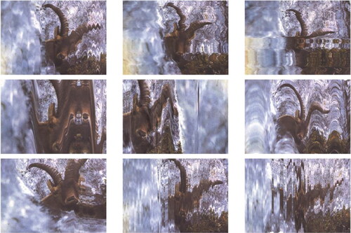 Figure 8. Bucardo Glitch Series (2020) by artist Dan J. Towns, mixed media.