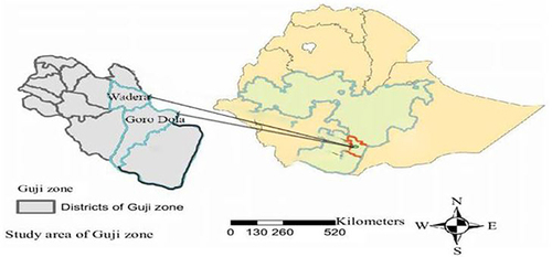 Figure 1 Study areas map of school-linked life skills interventional study in East Guji Zone, Oromia, south Ethiopia November 2020–May 2021.