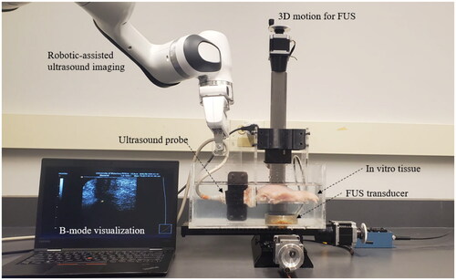 Figure 2. Ex vivo USgFUS experimental setup. The arrangement comprises two main components: a robotic-assisted FUS unit responsible for precise positioning of the focal region within the chicken tissue, and a robotic-assisted imaging unit employing a linear ultrasound transducer to meticulously monitor the FUS procedure with high precision.
