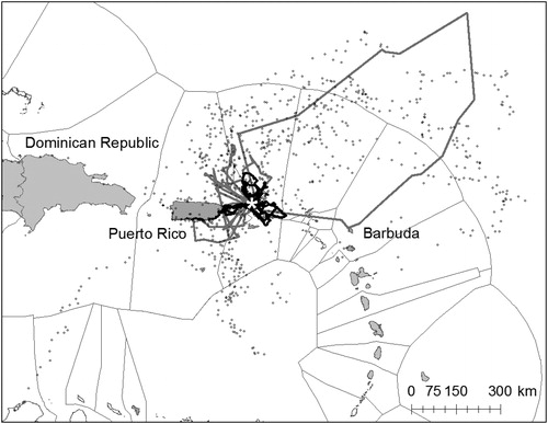 Figure 1. Tracks of magnificent frigatebirds tagged with GPS loggers (n = 4 birds), (black line), GPS-GSM loggers (n = 4 birds), (grey line), and GPS-PTT loggers (n = 2 birds), (grey circles) overlaid on Exclusive Economic Zones. White star indicates the Great Tobago breeding colony, British Virgin Islands.