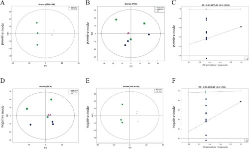 Figure 1. Multivariate data analysis of data from the metabolic profiles of porcine alveolar macrophages. (a) PCA scores of the porcine alveolar macrophage samples in positive mode. (b) OPLS-DA score plot of the porcine alveolar macrophage samples in positive mode. (c) Permutation test of control and test group in positive mode. (d) PCA scores of the porcine alveolar macrophage samples in negative mode. (e) OPLS-DA score plot of the porcine alveolar macrophage samples in negative mode. (f) Permutation test of control and test group in negative mode.
