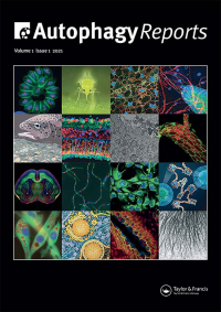 Cover image for Autophagy Reports, Volume 3, Issue 1, 2024