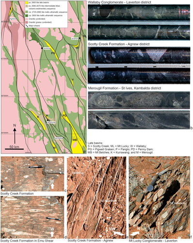 Figure 3. Late basin sedimentary rocks: (a) localities of late basins in the Eastern Goldfields; (b) rounded clasts in polymict conglomerate in drill core from Scotty Creek Formation, Agnew district, Wallaby Conglomerate, Laverton district and Merougil Formation, Kambalda; (c, d) basal Scotty Creek Formation in, and adjacent to, the D1 Emu Shear, Agnew; (e) well-developed upright north-trending S2 foliation overprints bedded units in Scotty Creek Formation, Agnew; and (f) flattened clasts in strongly foliated polymict Mt Lucky Conglomerate, Laverton district.