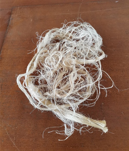 Figure 1. Retted and washed fibre.