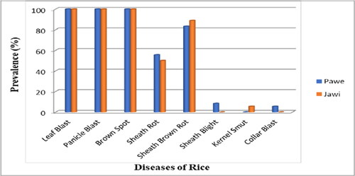 Figure 3. Distribution of rice diseases in Pawi and Jawi districts during 2020 main cropping season (Gudisa, Citation2020).