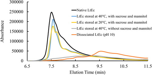 Figure 5. Analytical size exclusion chromatography (SEC) analysis showing representative chromatograms for LtEc samples before and after lyophilisation, storage for 6 months with sucrose and mannitol, and resuspension with ascorbic acid.