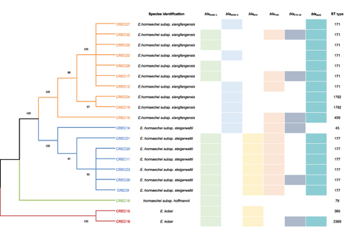 Figure 2 Species identification and clonal phylogenetic analysis of 20 strains of CREC.