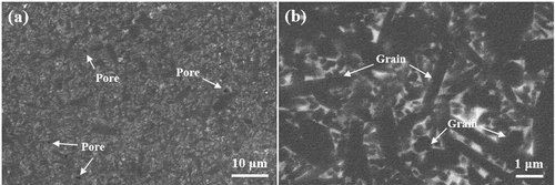 Figure 1. SEM of the mirror-polished surface of Si3N4 ceramic: (a) Pore dispersion, (b) grain shape.