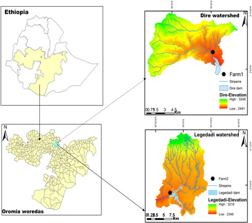 Figure 1. Dire and Legedadi watershed map.