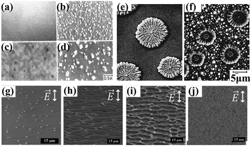 Figure 14. SEM image Ag61.5(Ge0.3S0.7)38.5 MdAC films (a) As deposited (140 nm). (b) After initial illumination. (c) After annealing of (b) at 423 K for 10 min. (d) After illumination of (c) with a Hg lamp of 0.16 W/cm2 for 10 min (Ref. [Citation146]). Ag45As15S40 bulk film after Illumination with Hg lamp of (e) 200 mW/cm2 and (f) 530 mW/cm2 for 15 min at room temperature. The flower-like shape was observed of deposited silver with increasing light intensity (Ref. [Citation23]). SEM pictures of Ag-As-S thin-film surface after an hour of laser irradiation at 4.64 W/cm2 (laser dewetting) with concentrations (g) 0%. (h) 4%. (i) 9%. (j) 36%. The wrinkles’ direction is normal to the electric field polarization direction (Ref. [Citation126]).