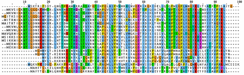 Figure 1 Multiple sequence alignment of VP1 (major capsid protein) sequences from Alpavirinae phages.